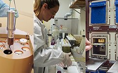 research-education_solution